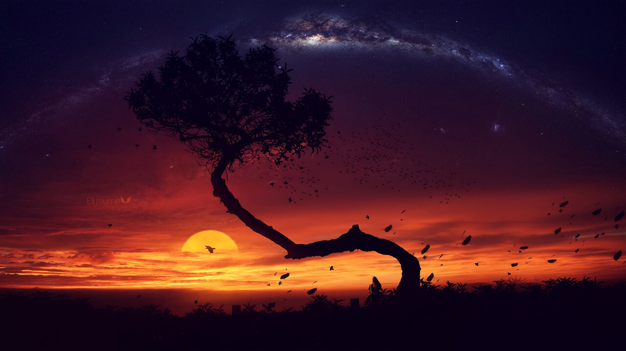 Evening Tree Sunset Digital Art