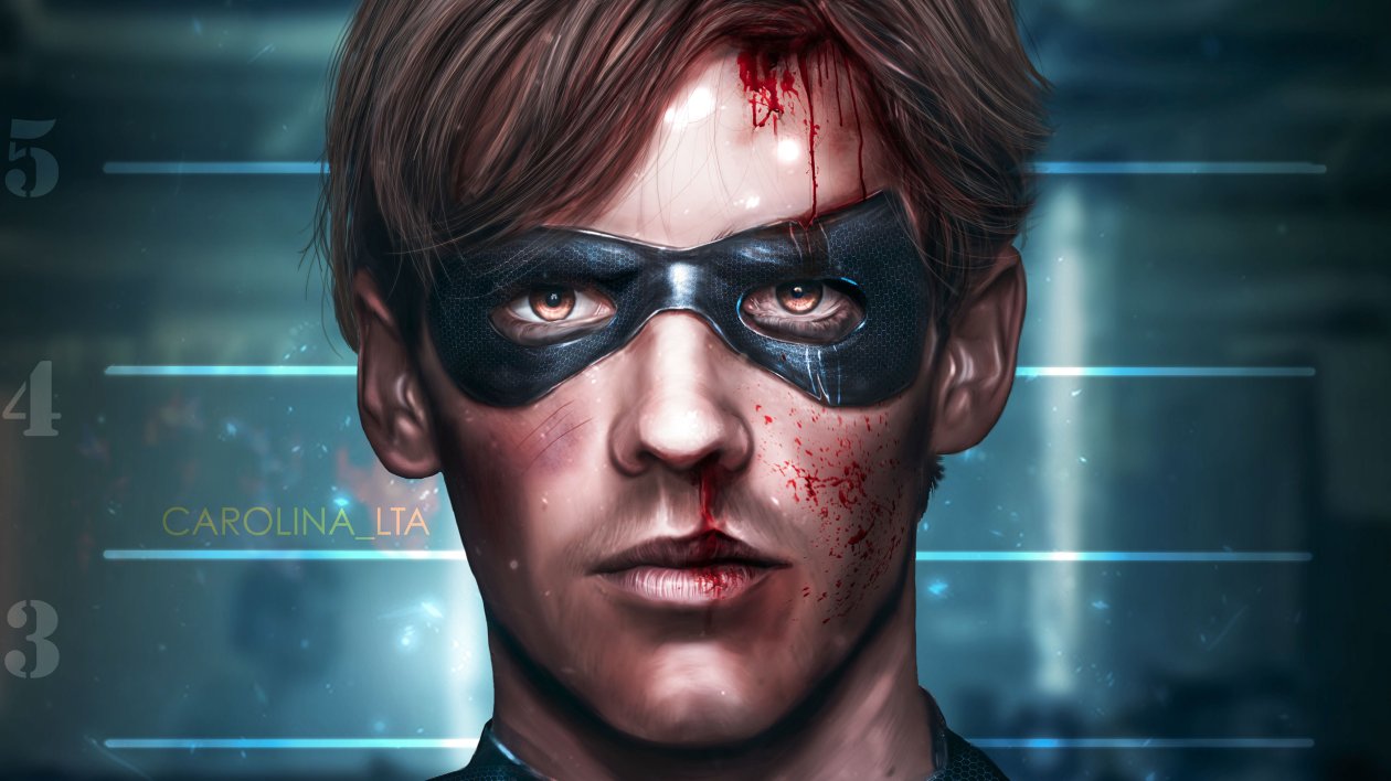 Robin Titans Art