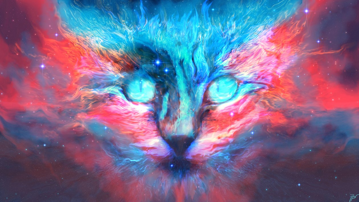 Into Dreams Cat