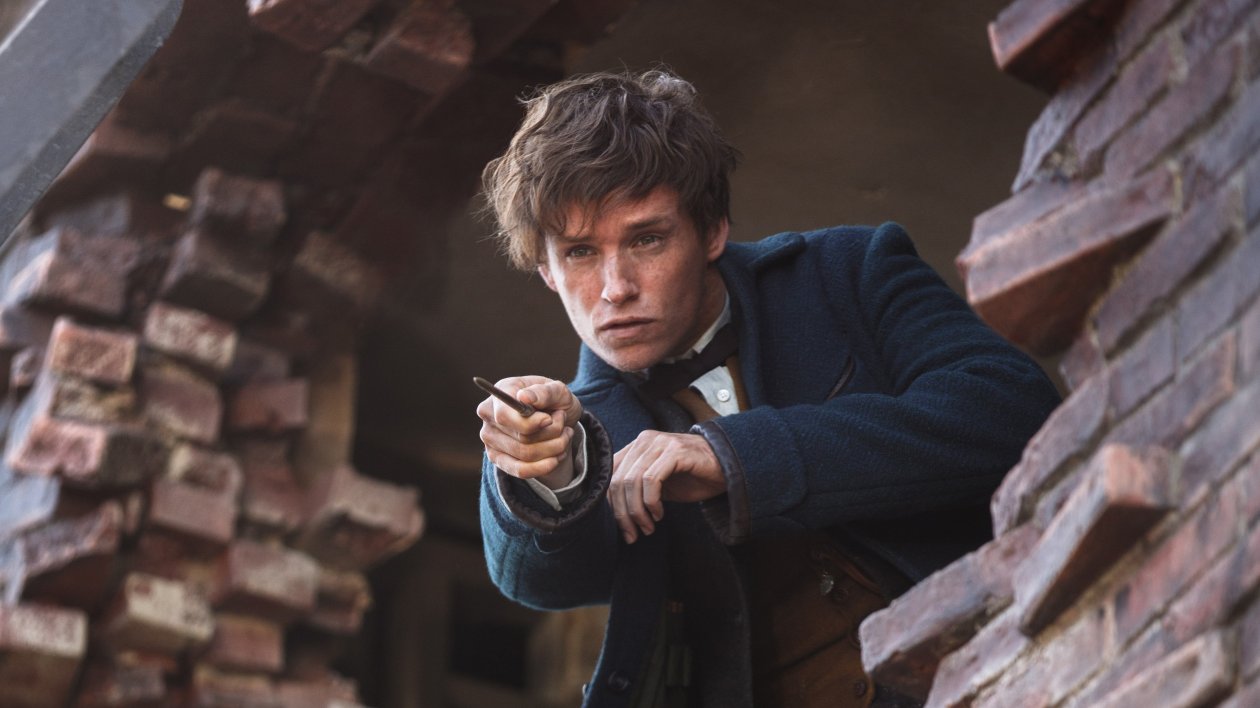 Eddie Redmayne In Fantastic Beasts 2016