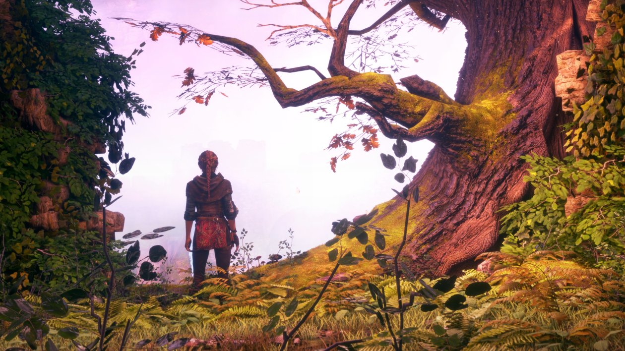 2019 A Plague Tale Innocence Game 5k