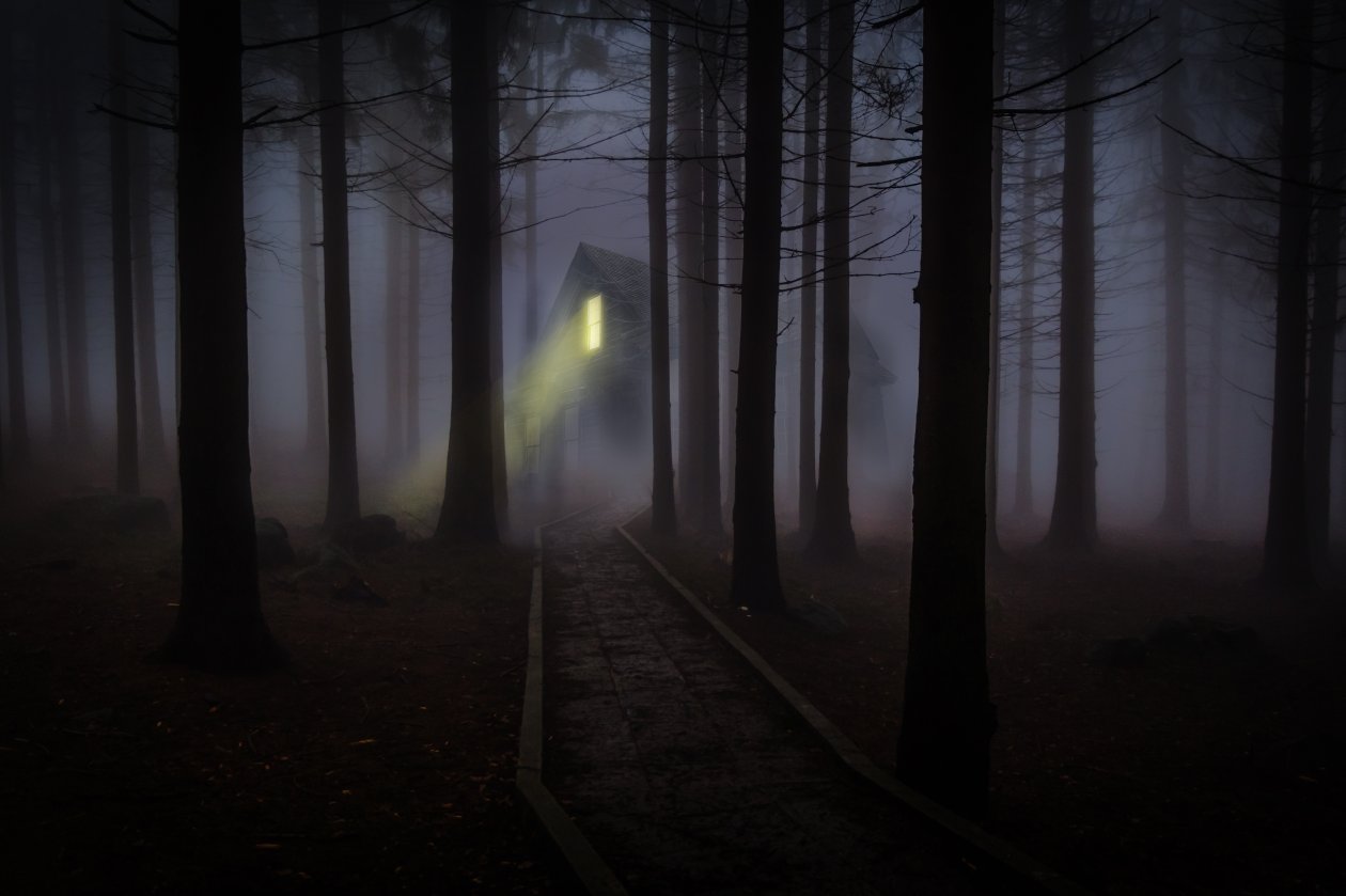 House Forest Fog Woods Trees