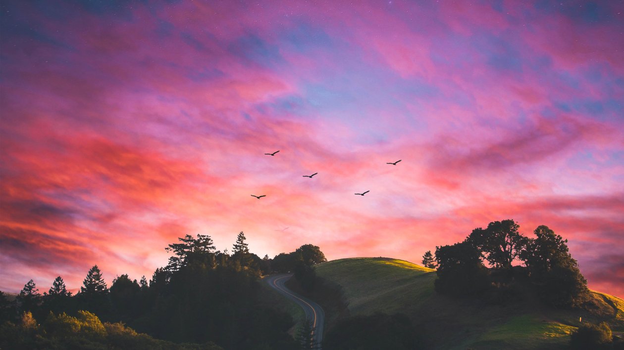 Horizons Of Nature