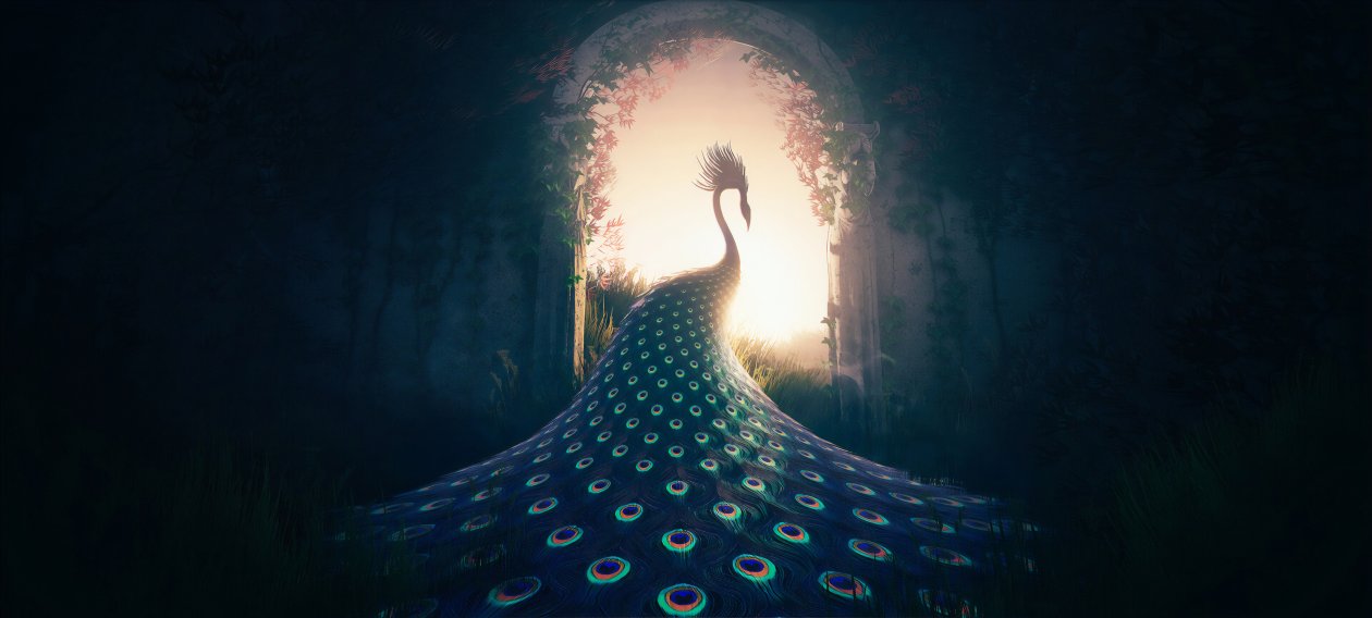 Peacock Journey