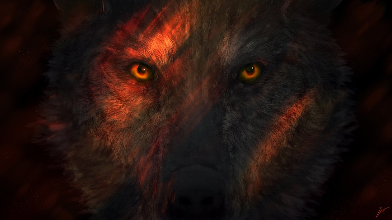 Wild Wolf Eyes