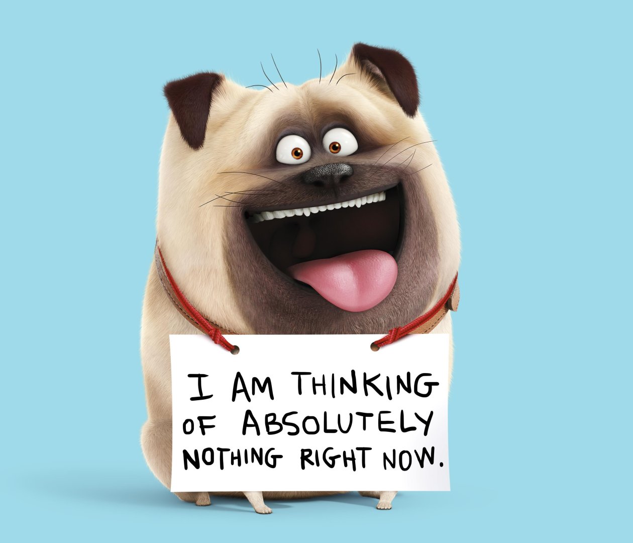 Mel The Secret Life Of Pets