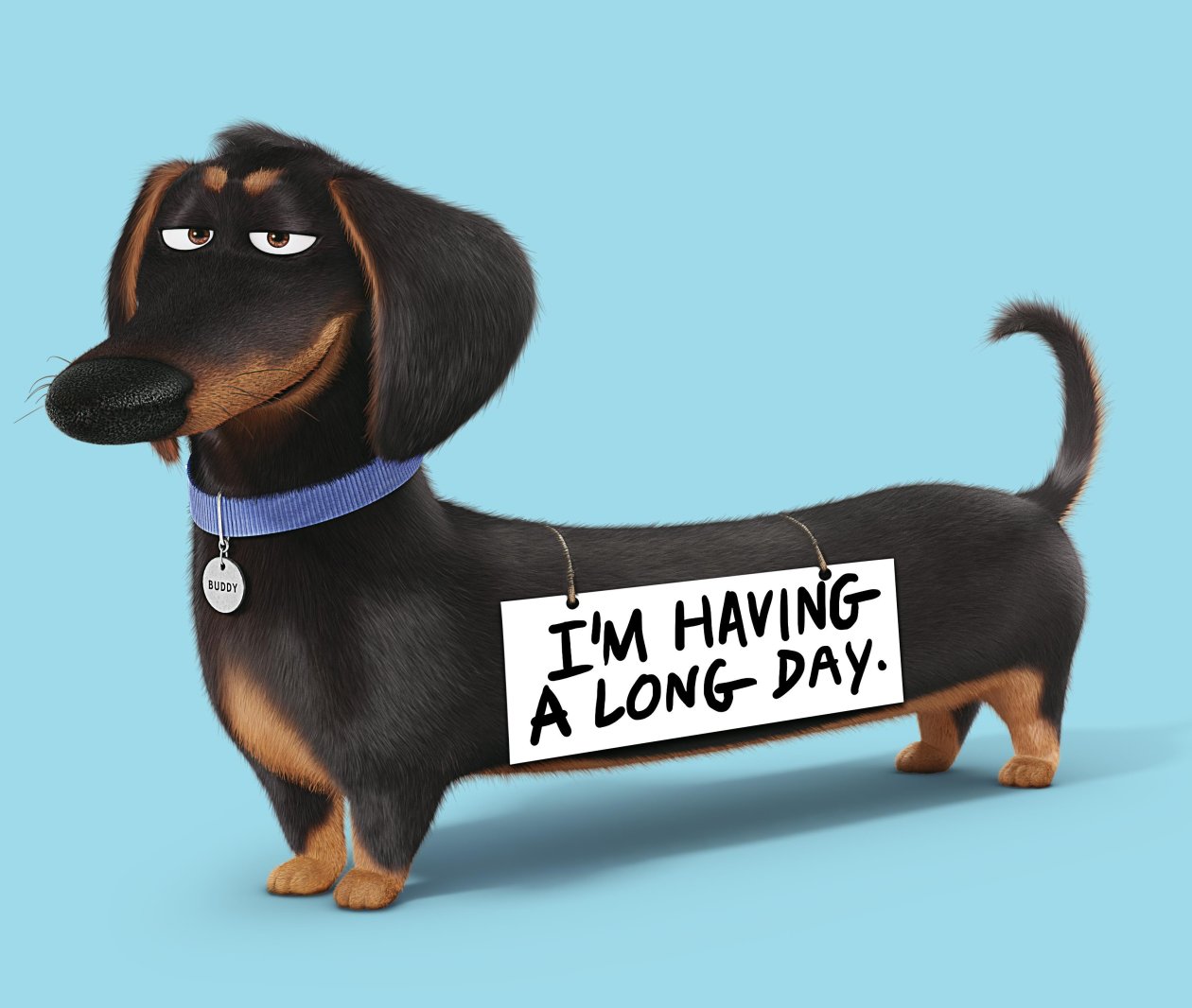 Buddy The Secret Life Of Pets