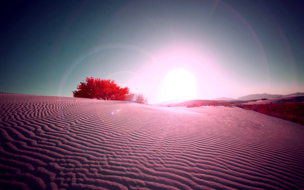 Desert Flare