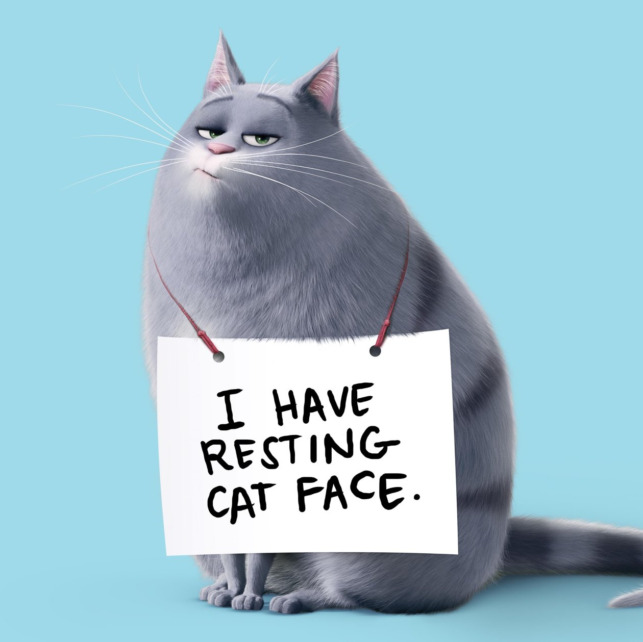 Chloe The Secret Life Of Pets