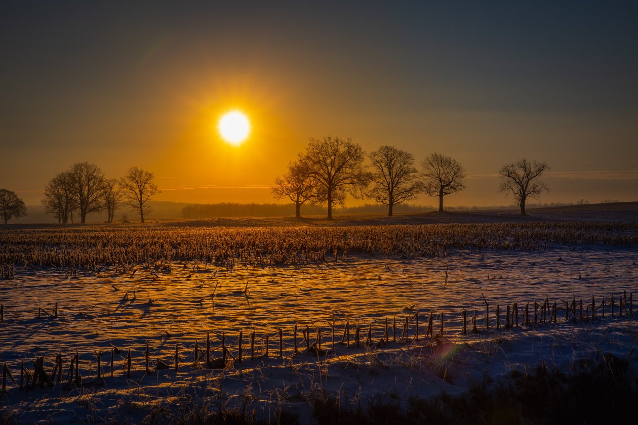 Farm Field Sun Beams 5k
