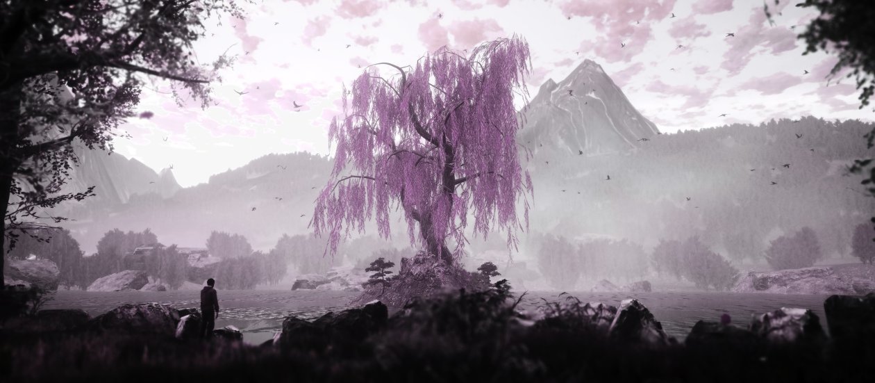 The Dead Tree Of Ranchiuna