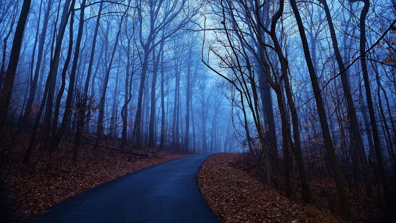 Blue Sky Alone Road