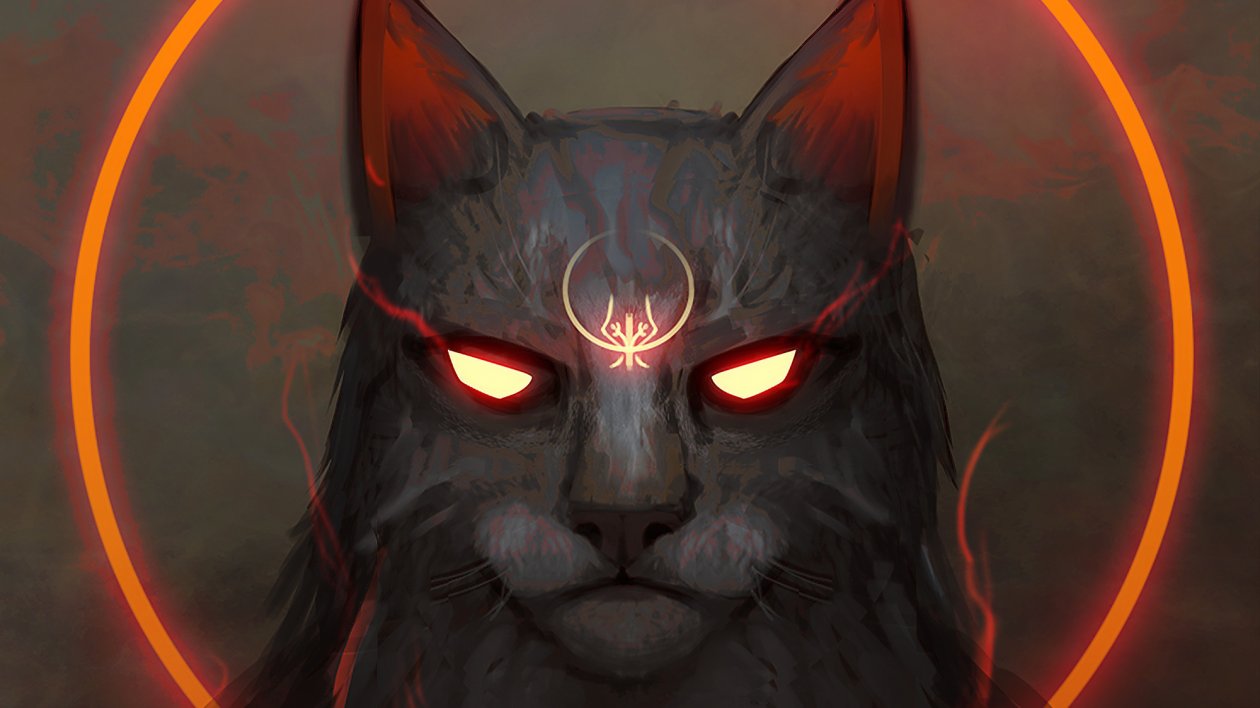 Fond d'écran Spicy Meow