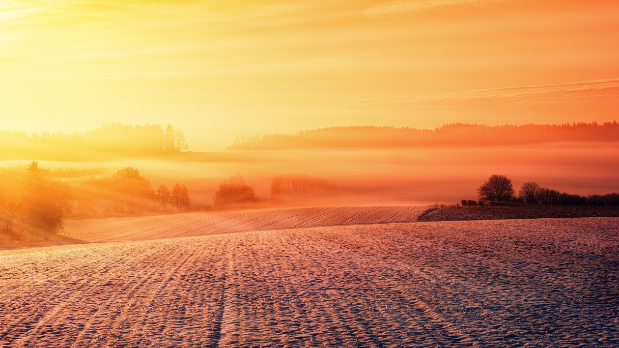 Snow Field 5k