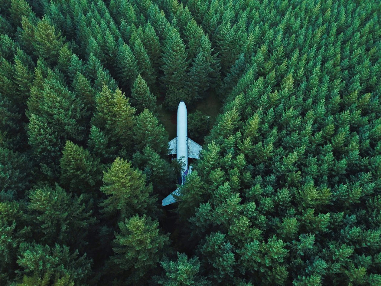 Plane In Middle Of Forest 4k