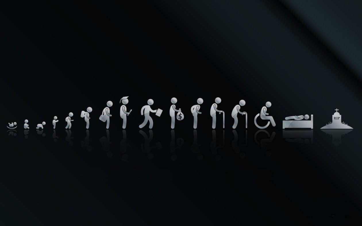 Life Cycle Artwork