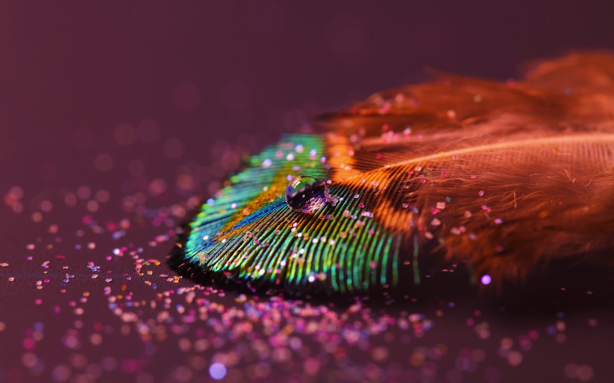 Feather Drop
