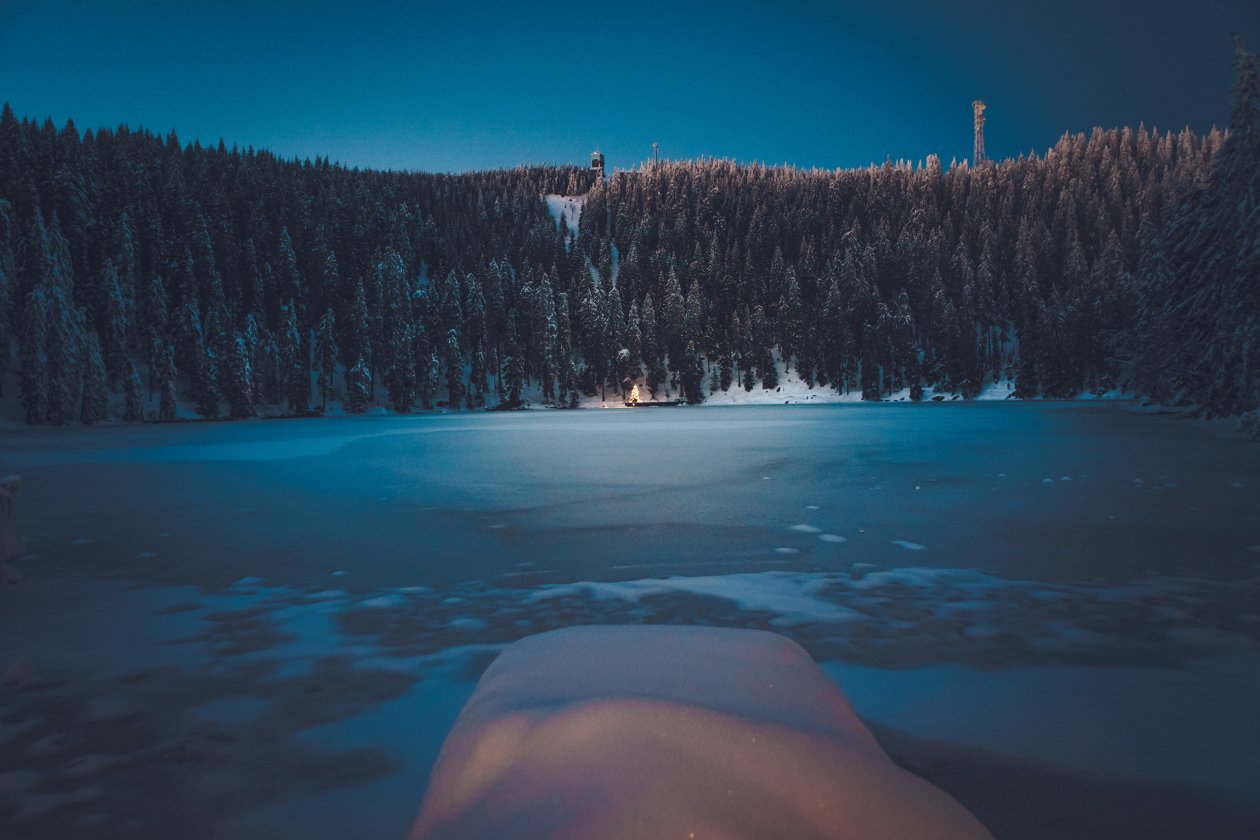 Winter Forest Landscape Mountains Snow Trees