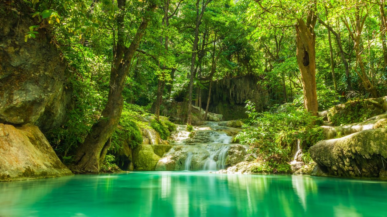 Lake And Water Cascades In Forest