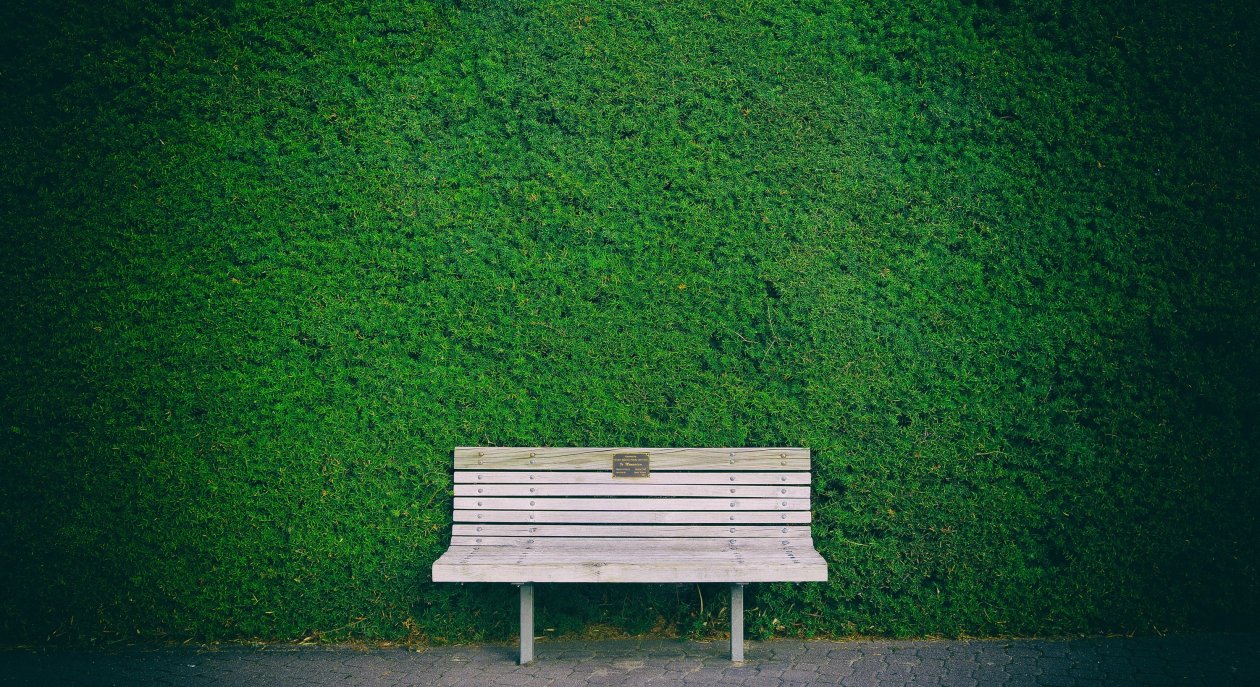 Beautiful Bench In Garden