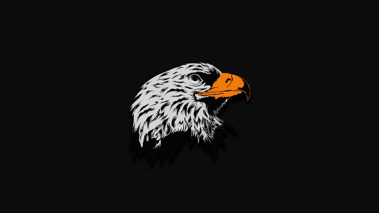 Eagle Dark Illustration 8k