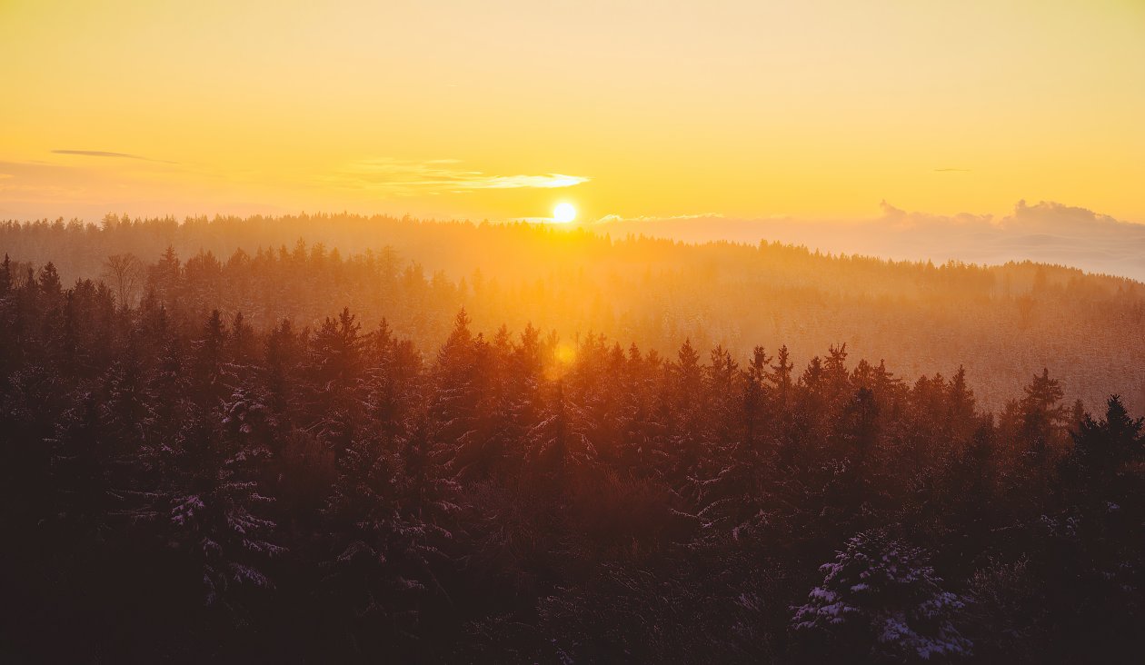 Golden Hour Foggy Landscape 4k