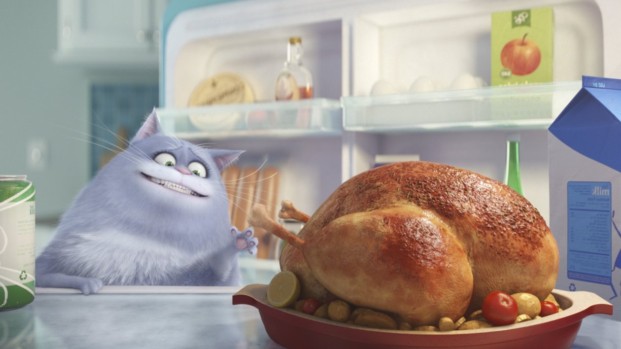 Cat Secrete Life Of Pets