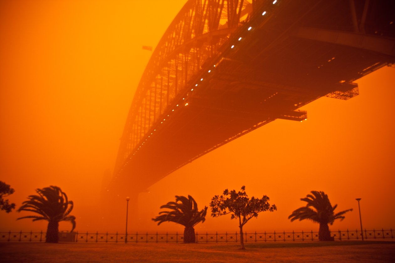 Palm Trees Dust Storm 4k