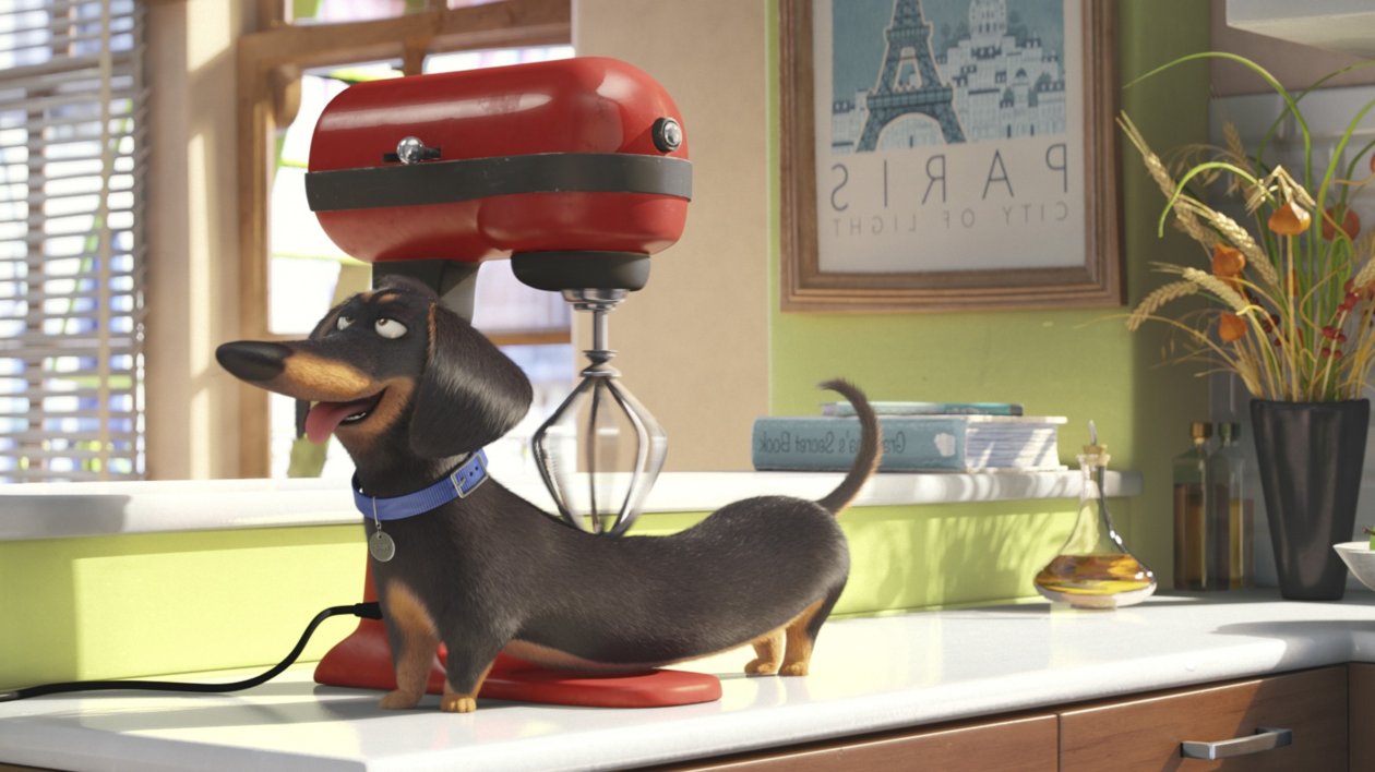 Secrete Life of Pets Movie