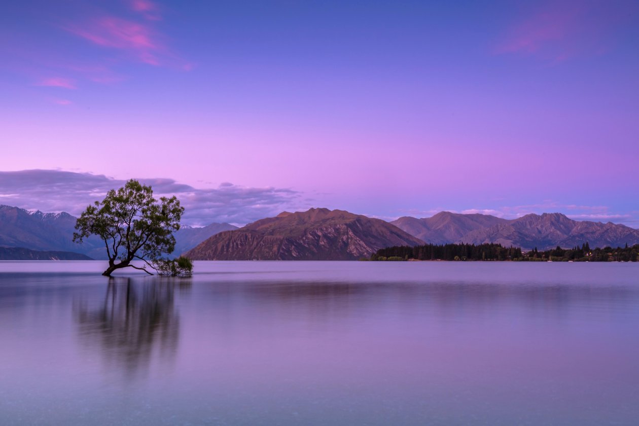 Purple Sky Mountains 5k
