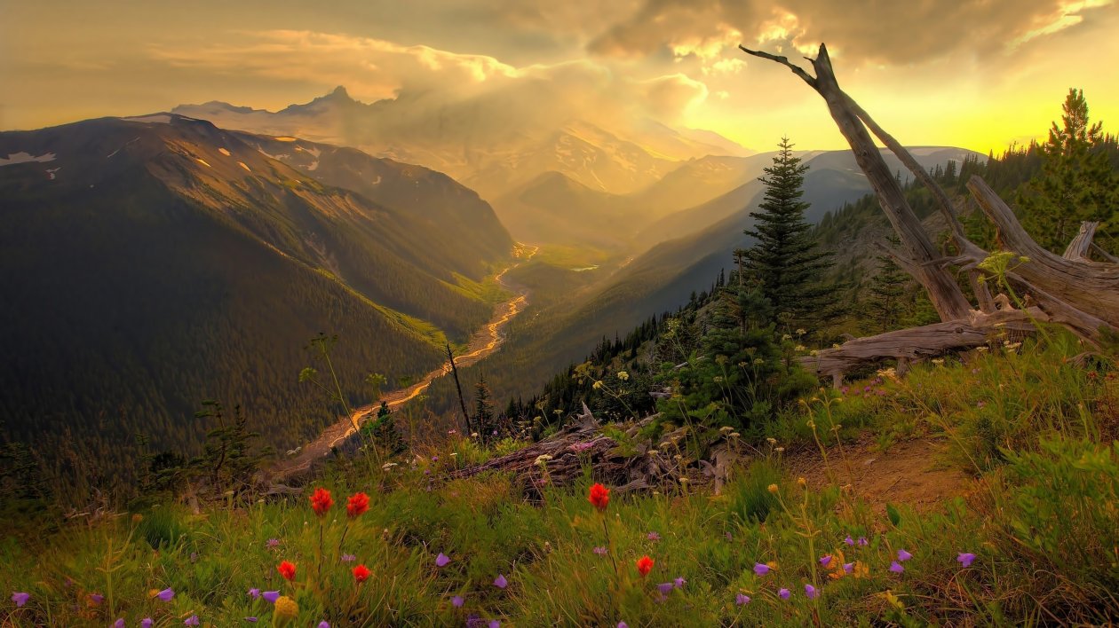 Mountain View From Top