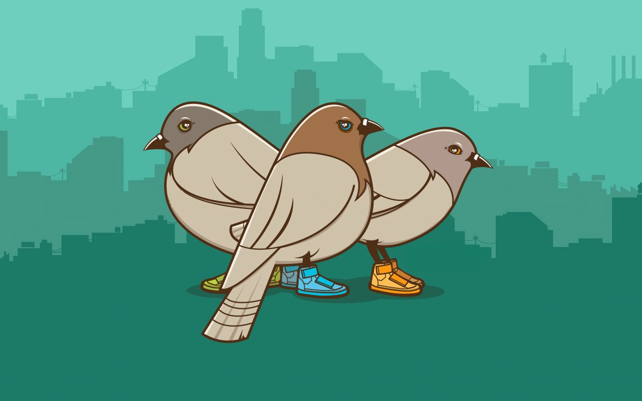 Birds Wearing Shoes Minimalist 4k