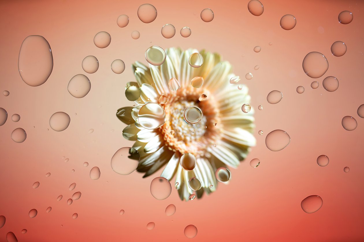 Chromebook Flower 4k