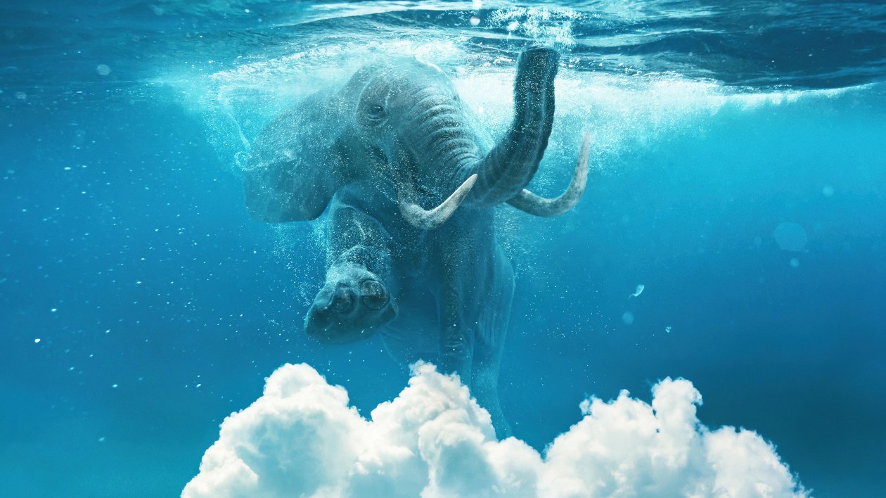 Elephant Under Water Manipulation 4k