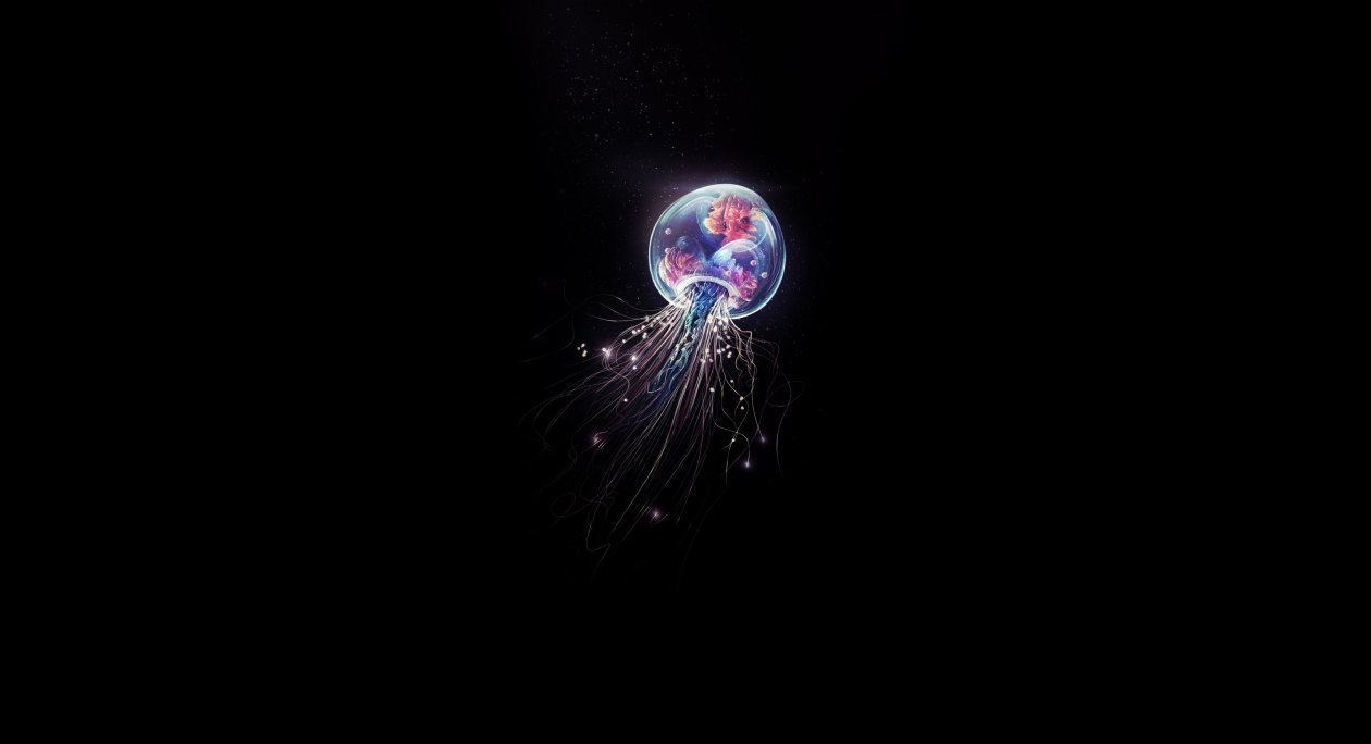 Jellyfish Minimalist 4k