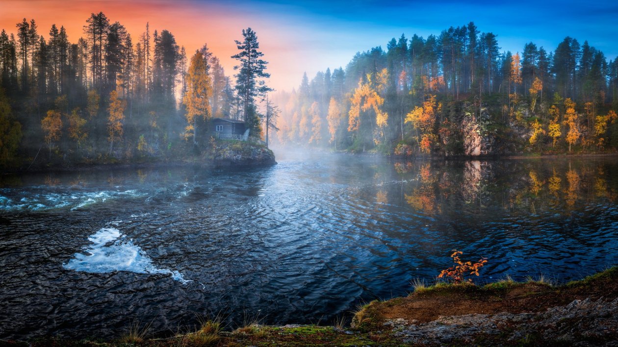 Nature Water Trees Fall Landscape