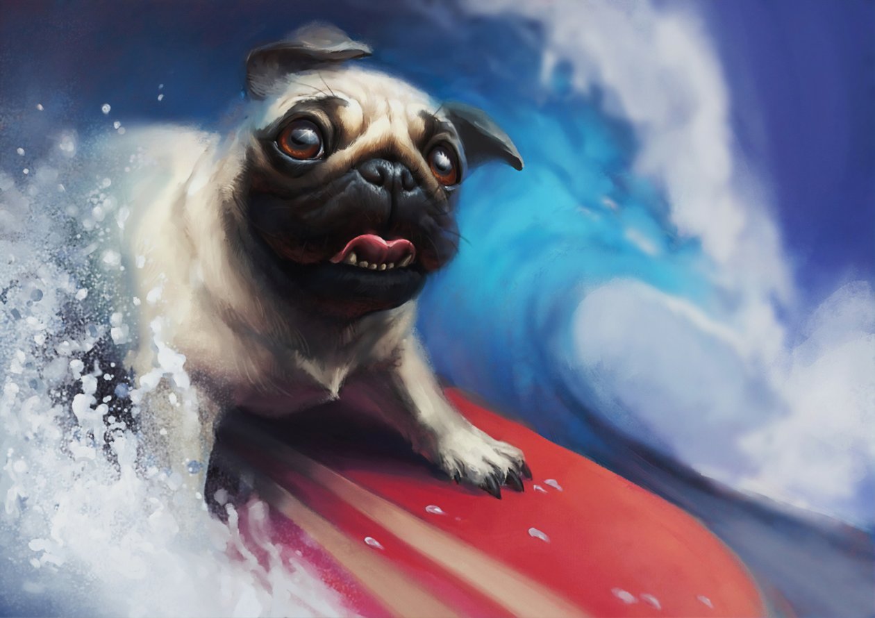 Pug Surfing
