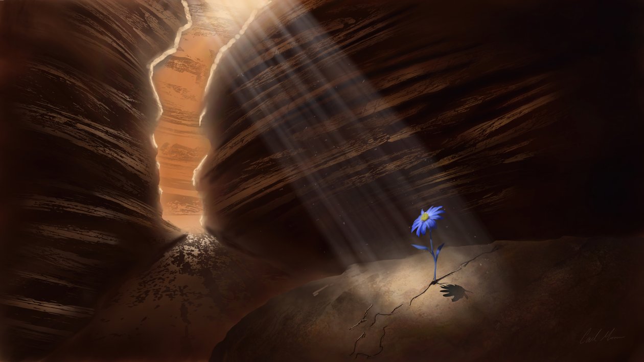 Positivity Finds Way 8k