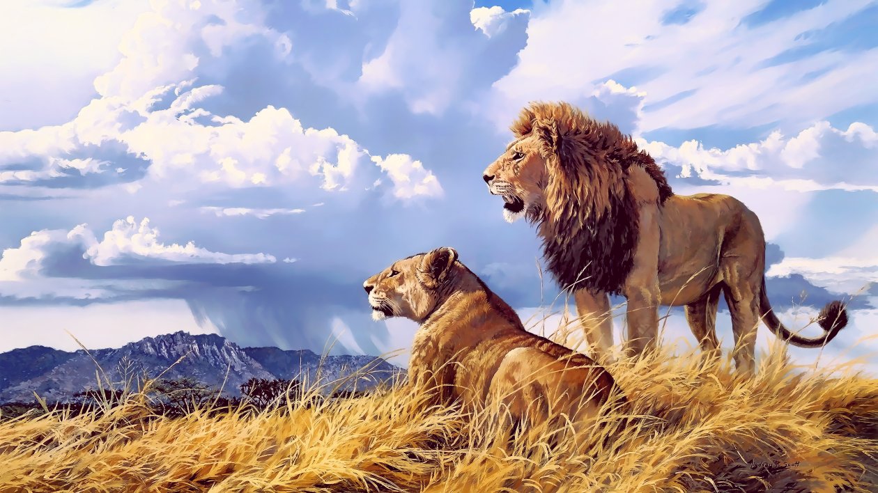 Lion Lioness Artwork 4k