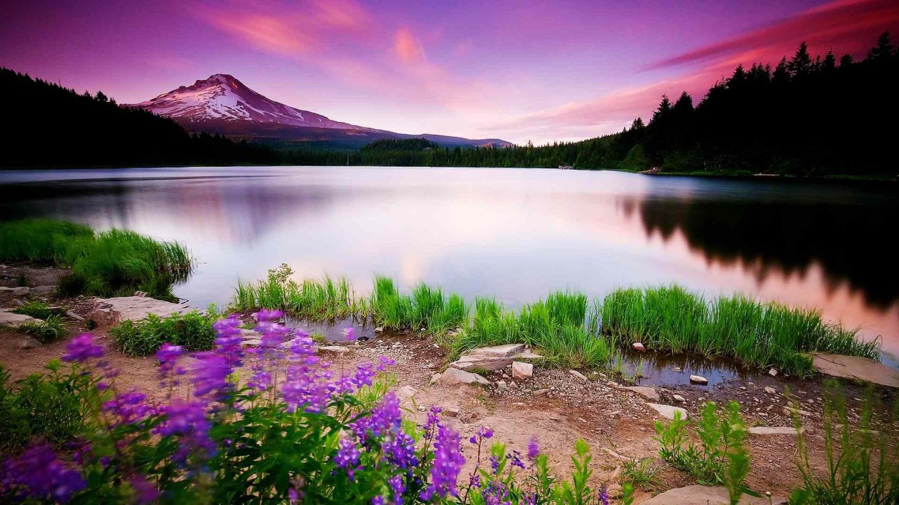 Nature Scenery
