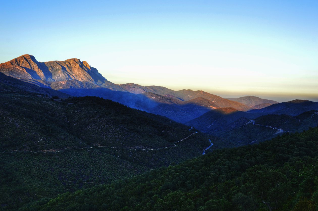Bejaia Moutains Trees Sunlight Sky 5k
