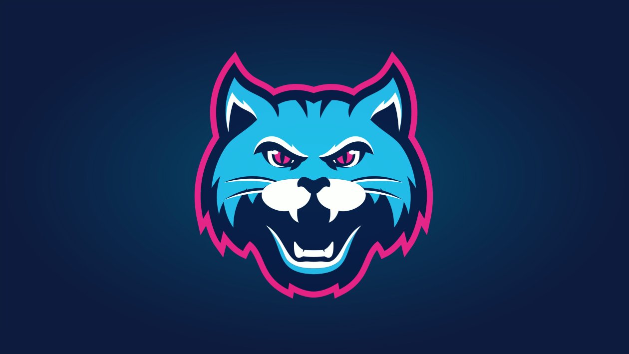 Cat Logo Minimal 4k