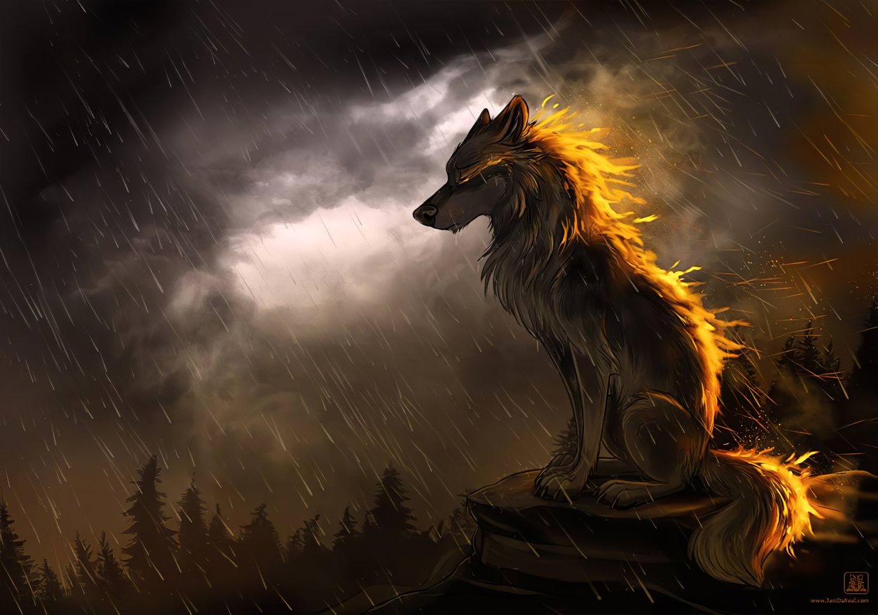 Wolf In Soothing Rain 4k