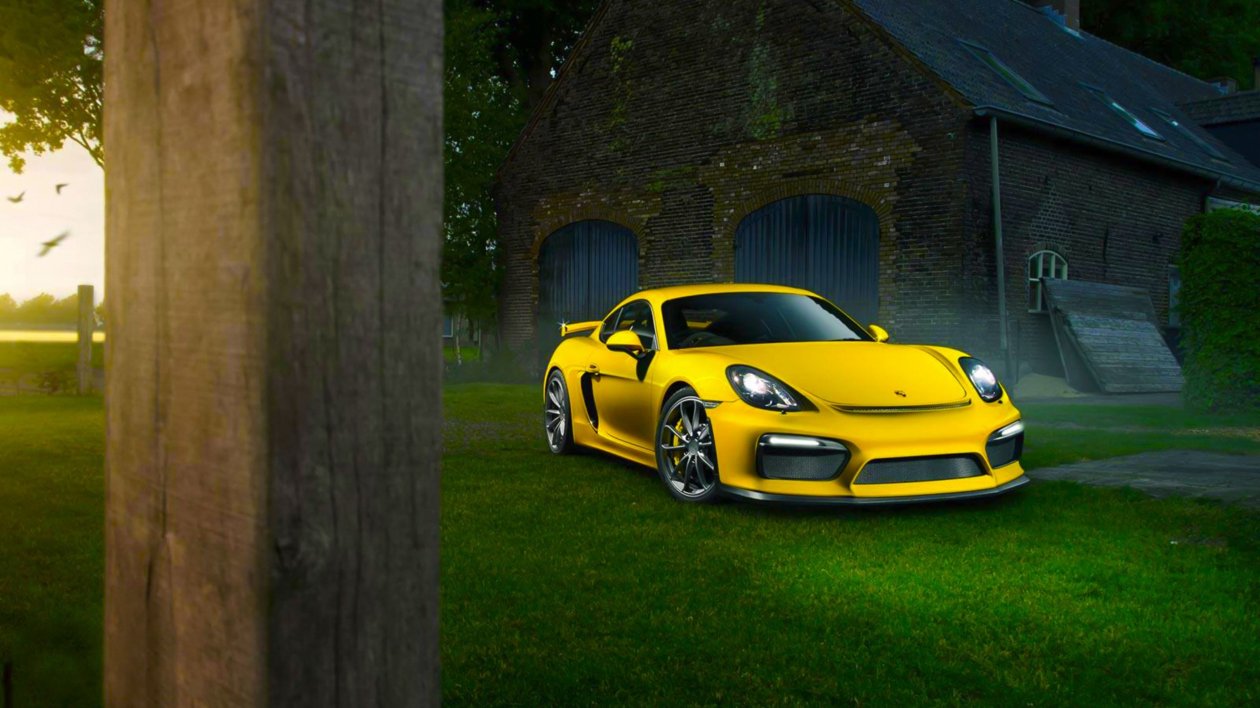 Porsche Cayman In Nature
