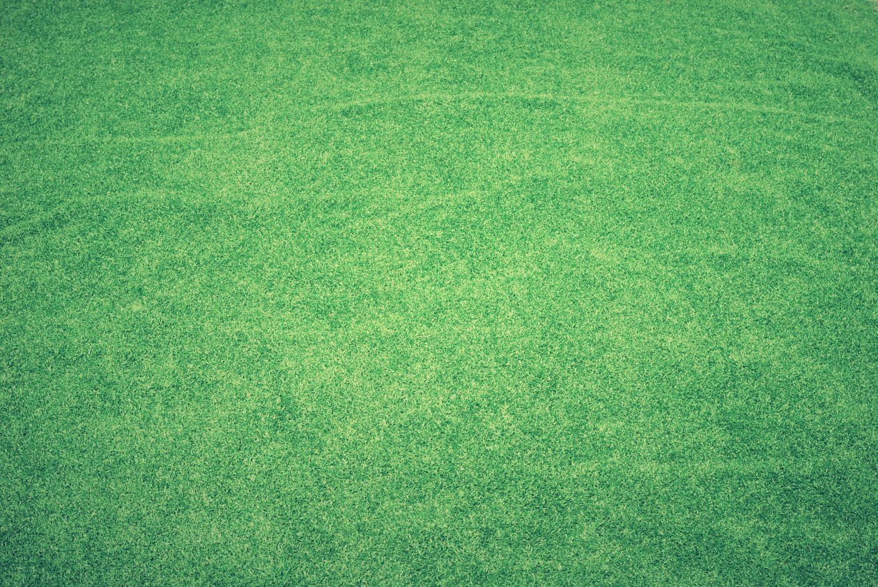 Grass Abstract Background 4k