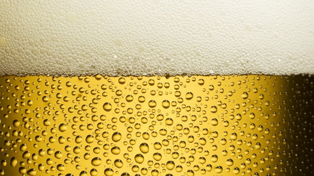 Beer Drink