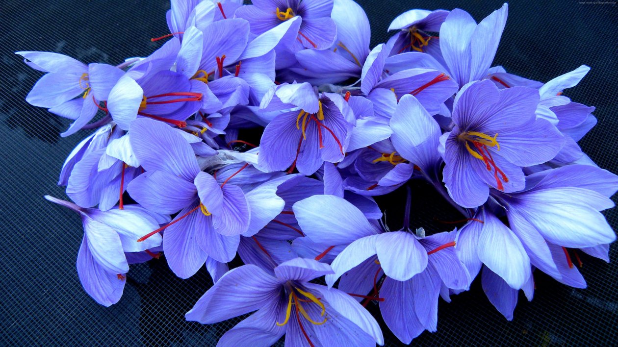 Flowers 4k