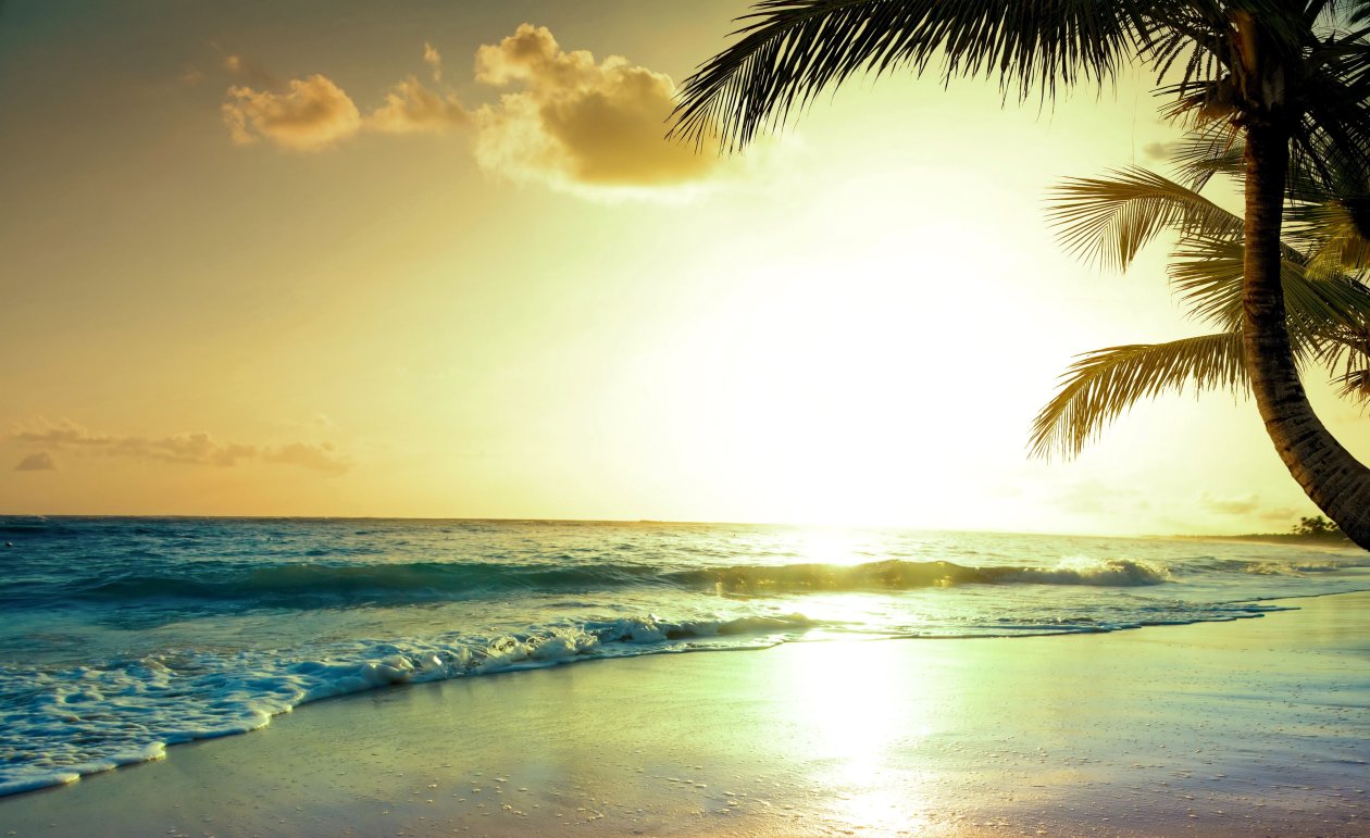 Tropical Beach Sunset 4k