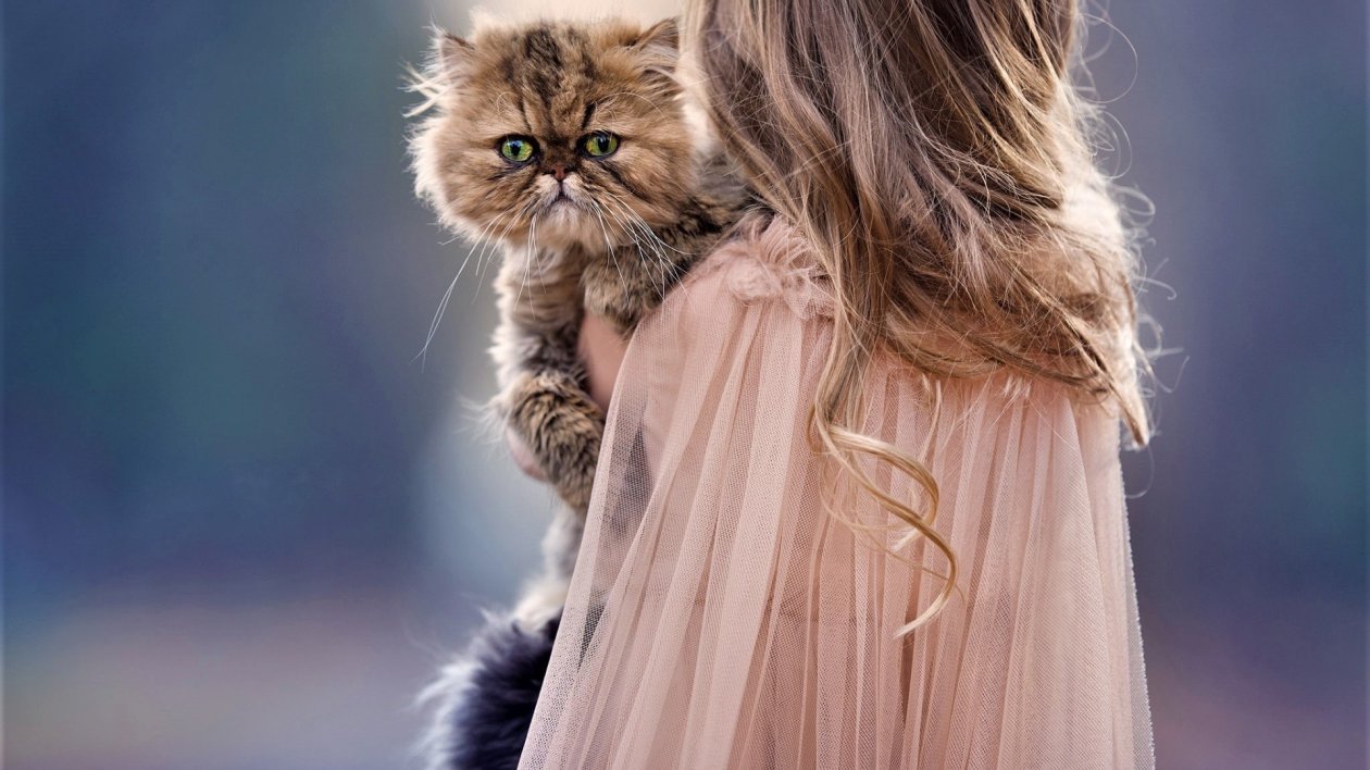 Children And Cat Cute