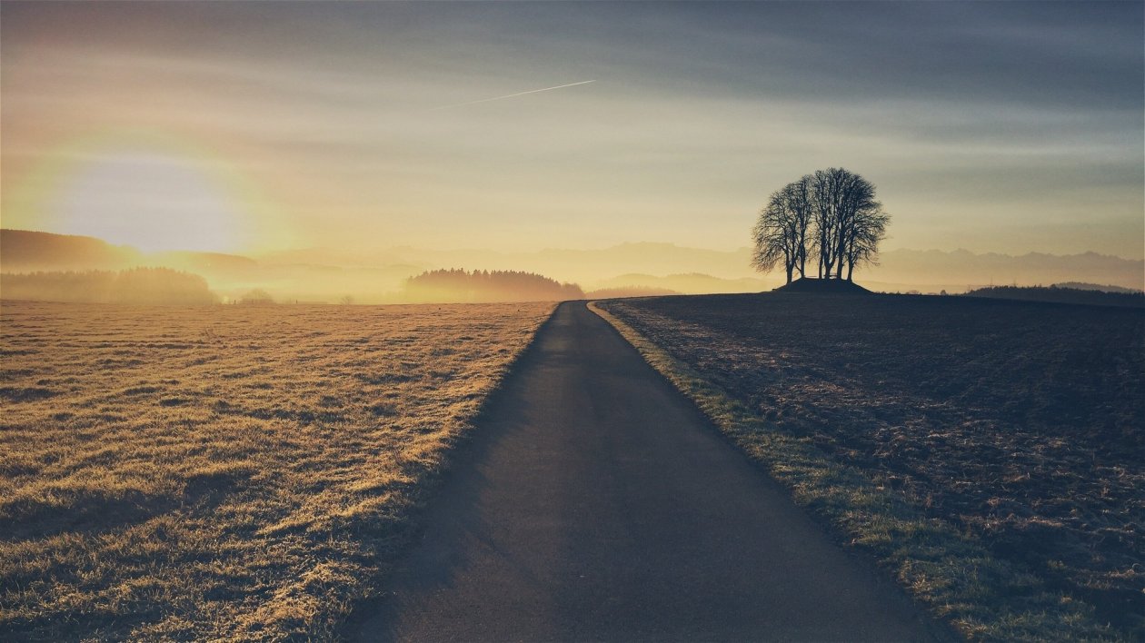 Beautiful Road